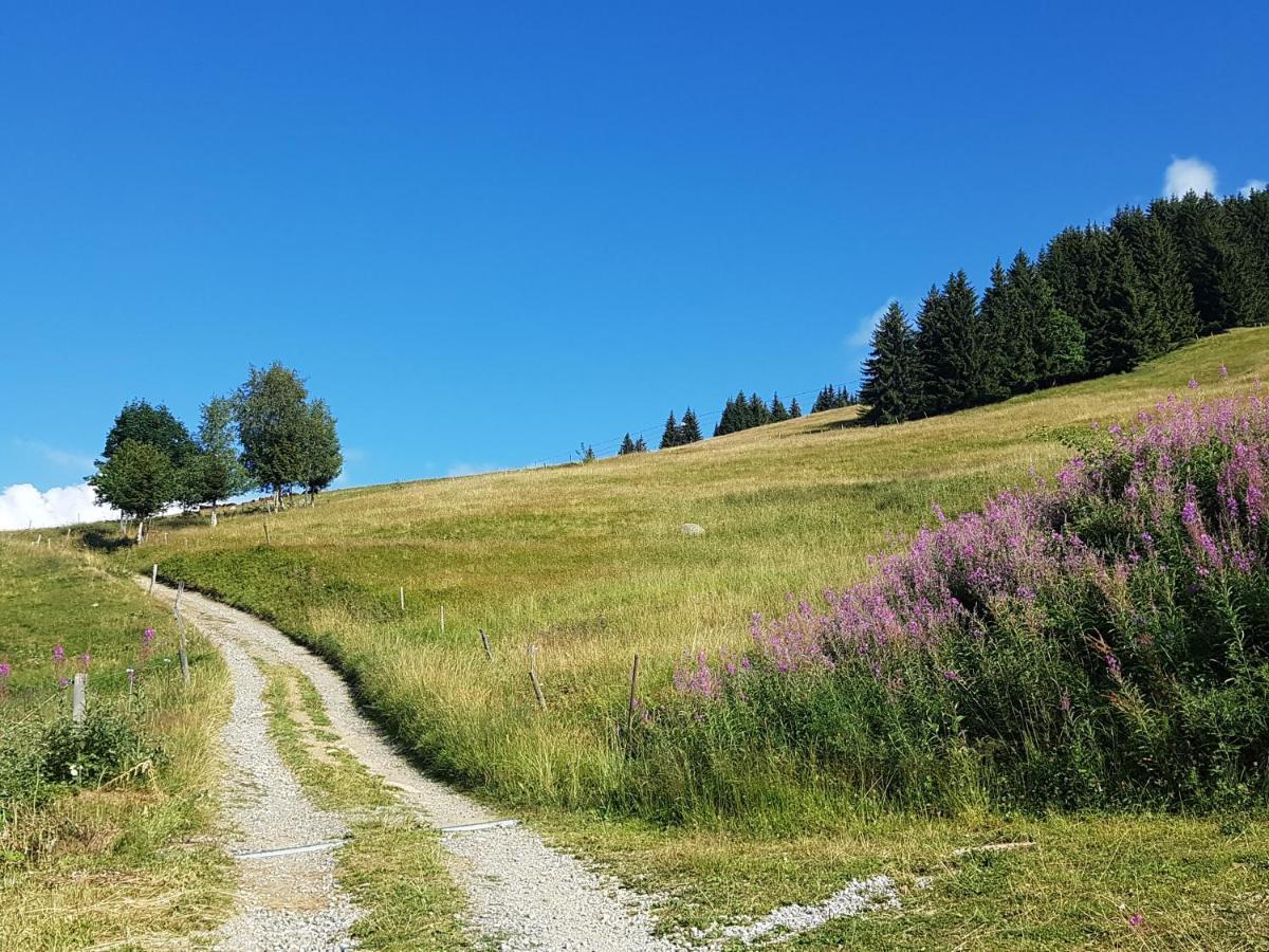 Apartmán La Grande Cordee - Coeur D'Alpage Combloux Exteriér fotografie