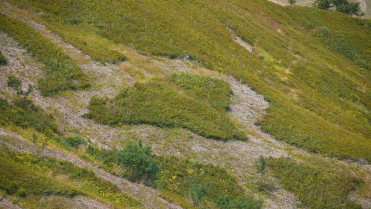 Apartmán La Grande Cordee - Coeur D'Alpage Combloux Exteriér fotografie
