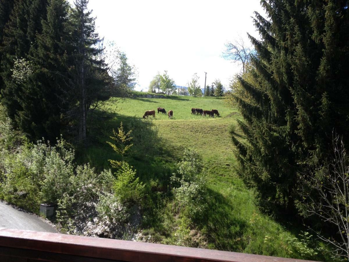 Apartmán La Grande Cordee - Coeur D'Alpage Combloux Exteriér fotografie